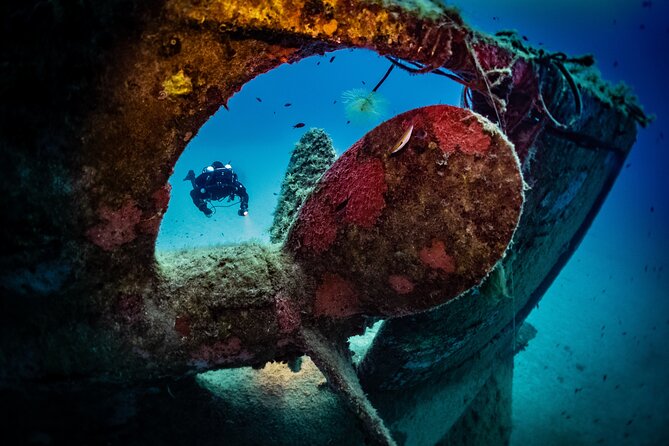 2 Scuba Fun Dives for Certified divers in St Paul's Bay - Two scuba outings from Malta’s Sliema waterfront