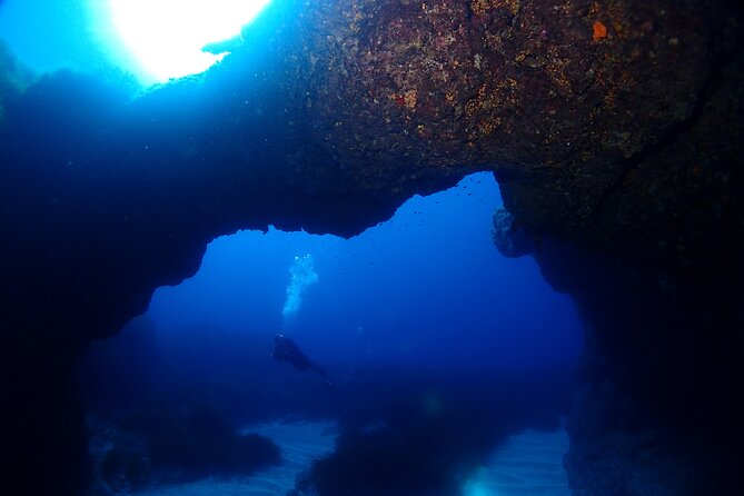 2 Scuba Fun Dives for Certified divers in St Paul's Bay - Equipment, swimwear, and what to bring