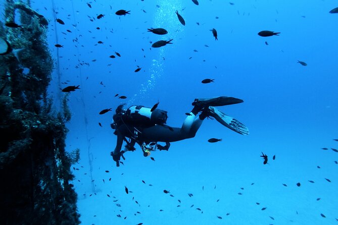 2 Scuba Fun Dives for Certified divers in St Paul's Bay - A good match for newer certified scuba users