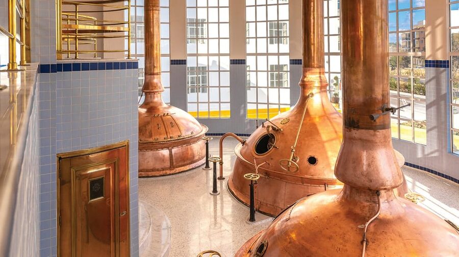 Brewery Experience with Beer Tasting and Optional Transport - Who will enjoy this brewery visit most?