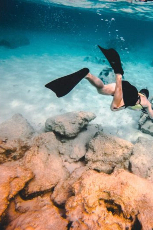 DiveSnap Underwater Sports Thrills:Lantern Point & P31 Wreck - A private way to see Comino’s coast