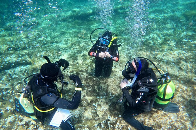 Diving experience in Malta - Patient instructors make a big difference