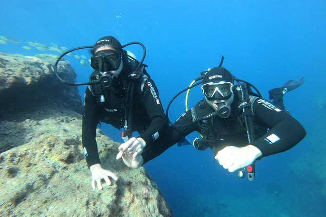 Diving experience in Malta - How to prepare for the meeting point