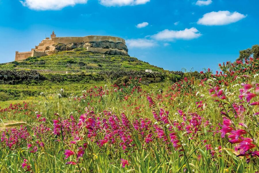 From Malta: Gozo Day Trip Including Ggantija Temples - How Much Value Do You Get for $92?