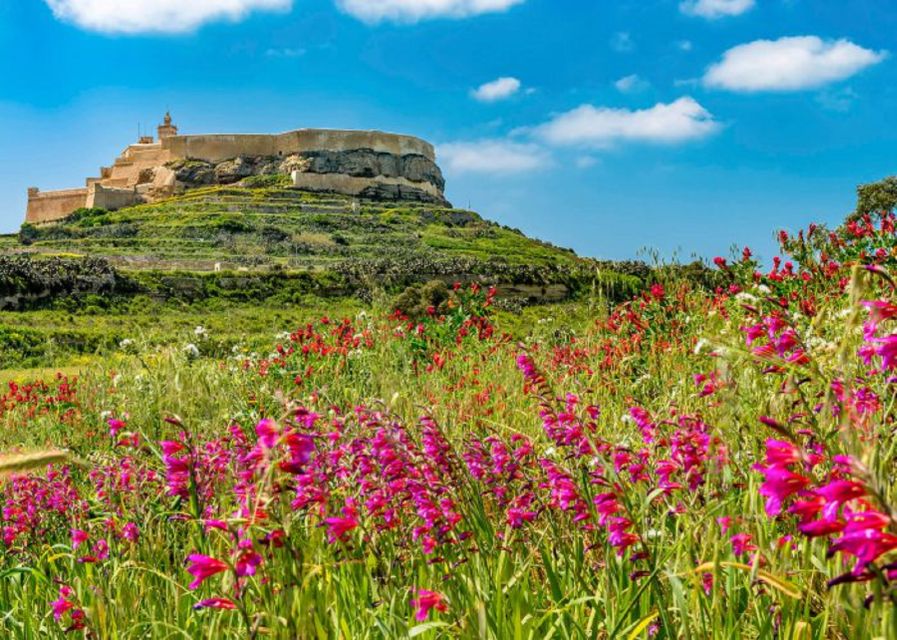 From Malta: Gozo Full-Day Tour with Guide, Temples, & Train - Key points to know before booking