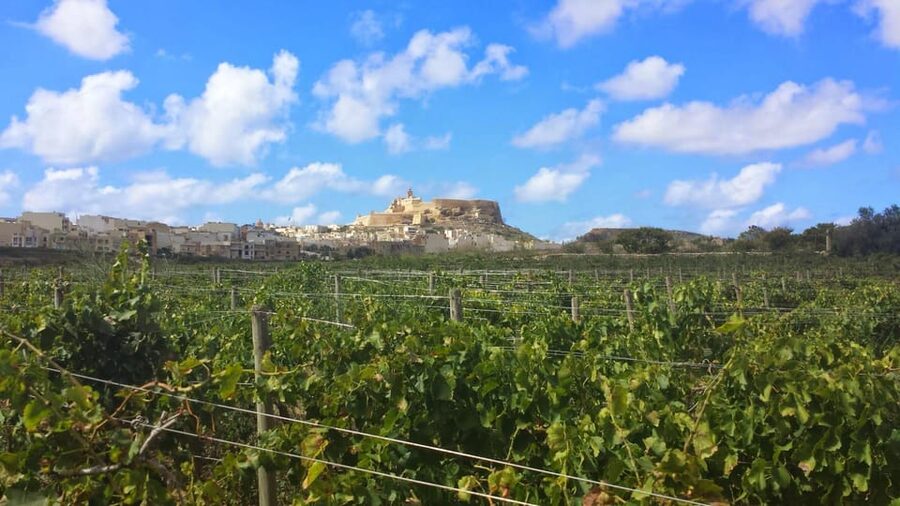 Gozo Victoria Walking Tour - Meeting at St Francis Square