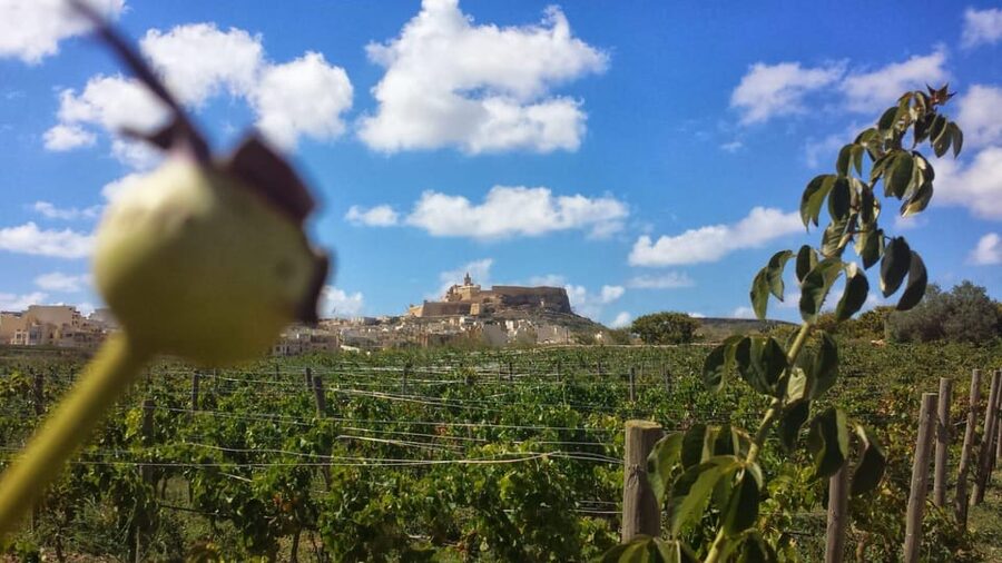 Gozo Victoria Walking Tour - Practical Tips Before You Go