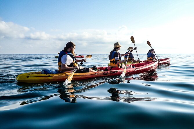 Guided Kayak Tour in St Paul's Island - What the guides add to the paddle