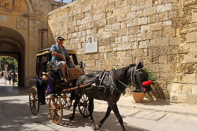 Half Day Shared Tour in Malta - Four hours to see Malta’s big contrasts