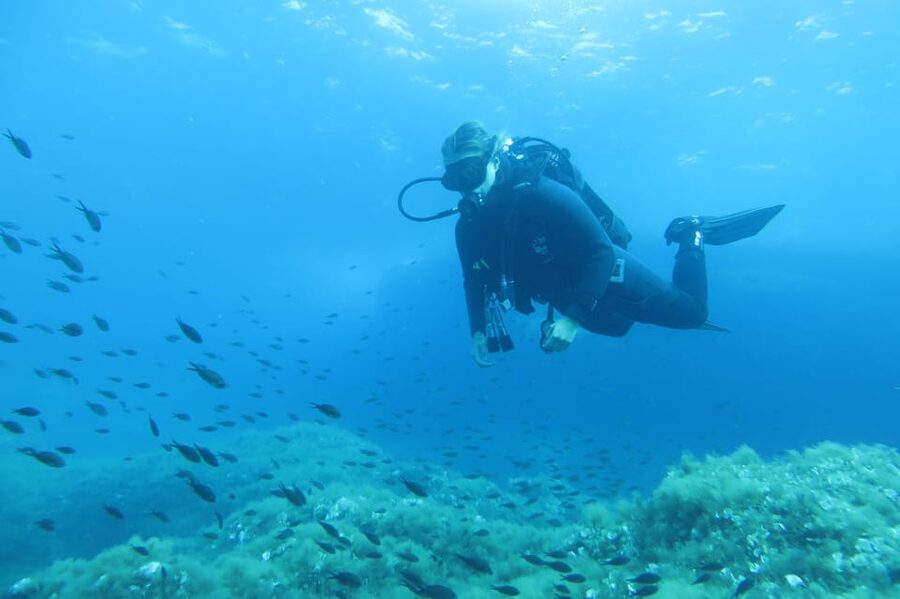 Malta: 2 Scuba Fun Dives for Certified divers - Key points for your Malta scuba morning