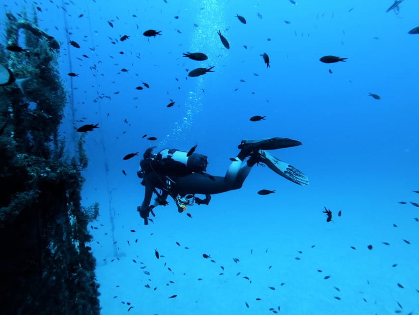 Malta: 2 Scuba Fun Dives for Certified divers - Starting at Aquatica in St Paul’s Bay
