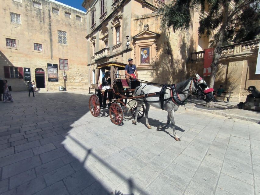 Malta: Ancient Wonders, Coastal Charms, and Cities Tour - Tarxien Temples, the final major stop