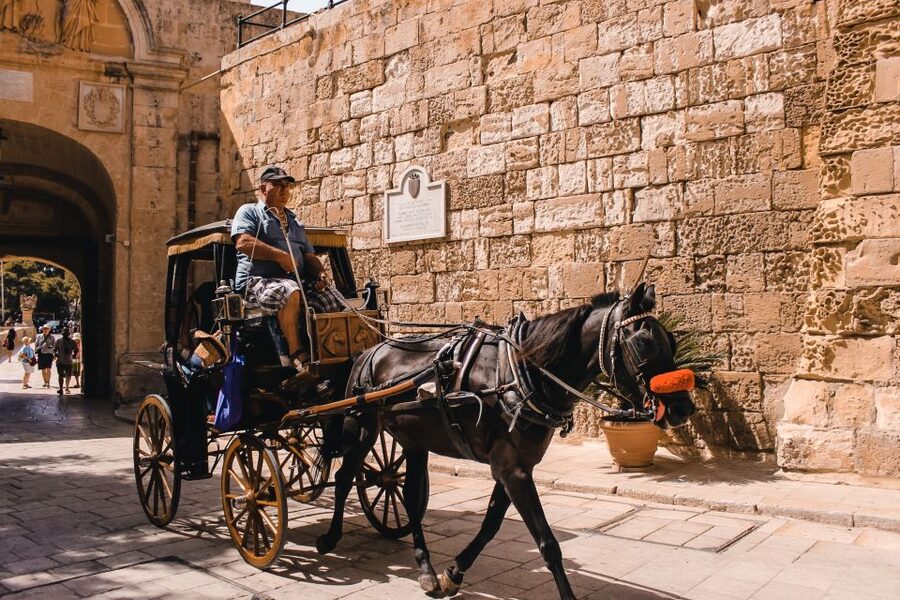 Malta: Highlights of Malta & Mdina Full Day Tour with Lunch - Transport, pickup, and the real pace of the day
