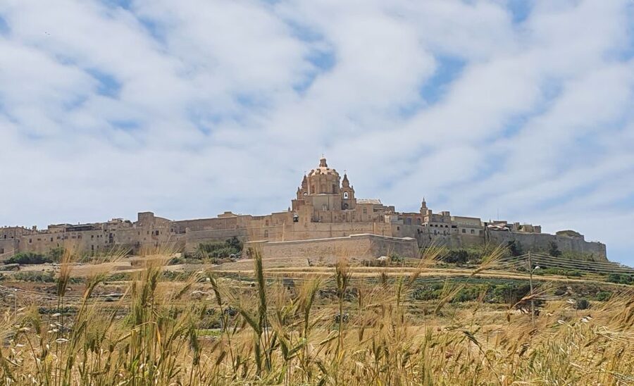 Malta: Mdina and Rabat Tour with Local Guide - Is $24 a fair price?