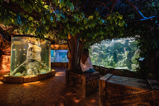 Malta National Aquarium Entrance Ticket - A compact aquarium with one big central attraction