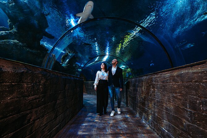 Malta National Aquarium Entrance Ticket - Is $20.30 good value?