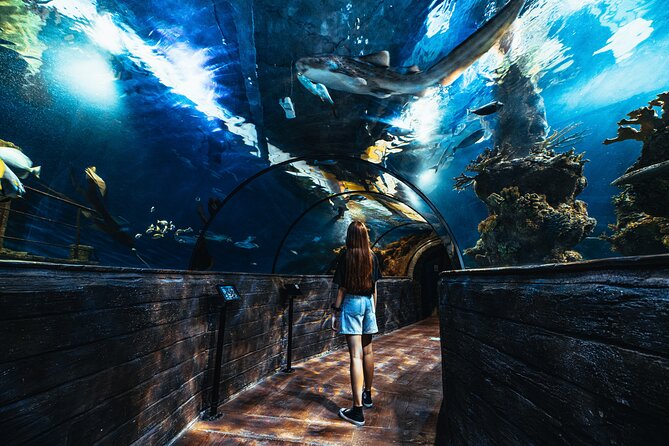 Malta National Aquarium Entrance Ticket - The 12-meter main tank and glass tunnel