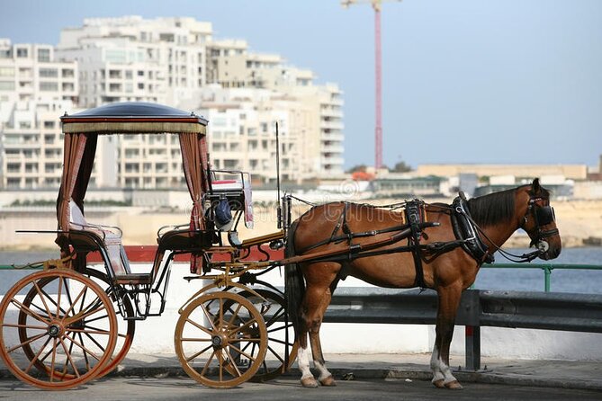 Malta Private tour: 5hr Mosta Dome, Mdina, Dingli Cliff's & Blue Grotto - A driver who shapes the day