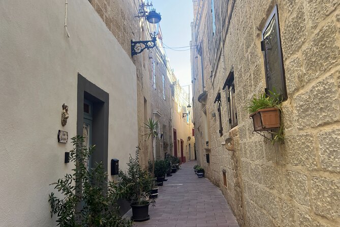Mdina and Rabat Walking Tour inc. Catacombs and St. Paul's Grotto - Mdina’s palaces and churches