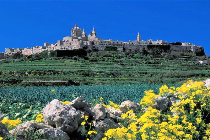 Mdina, Dingli cliffs and San Anton Gardens guided tour - San Anton Gardens and the Presidential Palace exterior