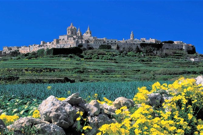 Mdina, Rabat, Dingli cliffs, San Anton gardens, Ta' Qali & Mosta guided tour - Key points at a glance