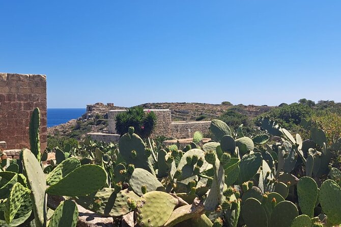 North Malta Quad Bike Tour with Land or Sea Views and Swimming - What the riding feels like for drivers and passengers
