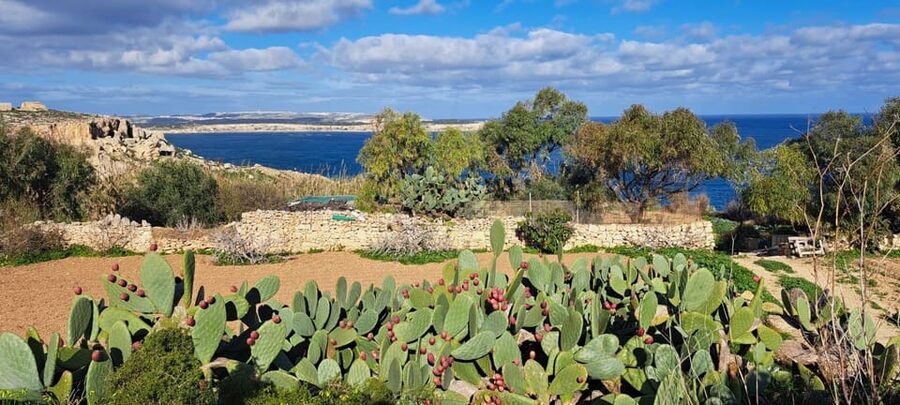 North Malta: Quad Bike Tour with Scenic Land, Sea & Swimming - Safety, comfort, and the riding itself