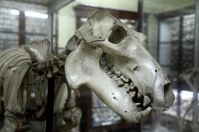 Prehistoric Temples and Highlights of the South Full-Day Tour - Guides can make the difference