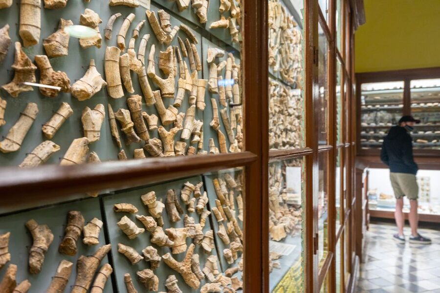 Prehistoric Temples of Malta Tour - Why Malta’s temple stones matter
