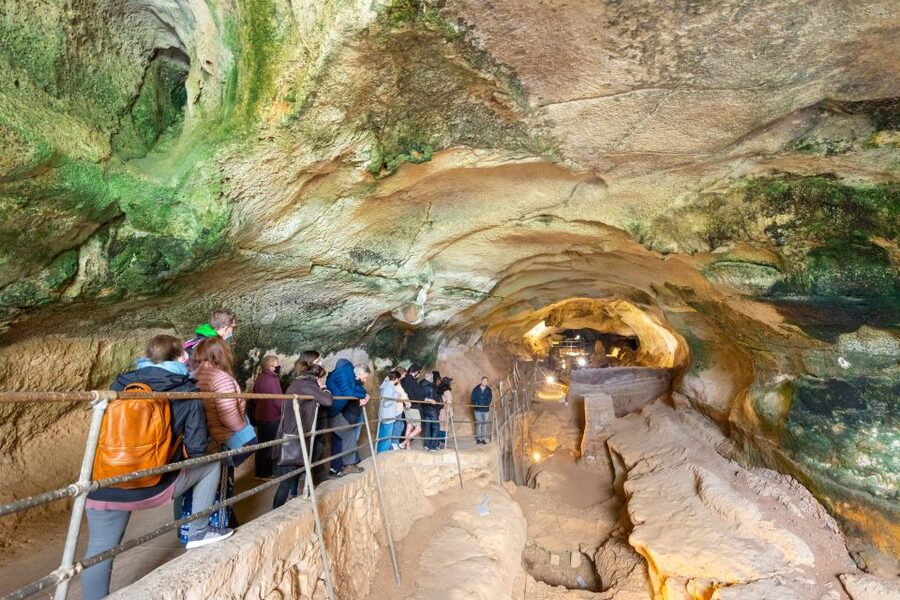 Prehistoric Temples of Malta Tour - The guide makes the difference