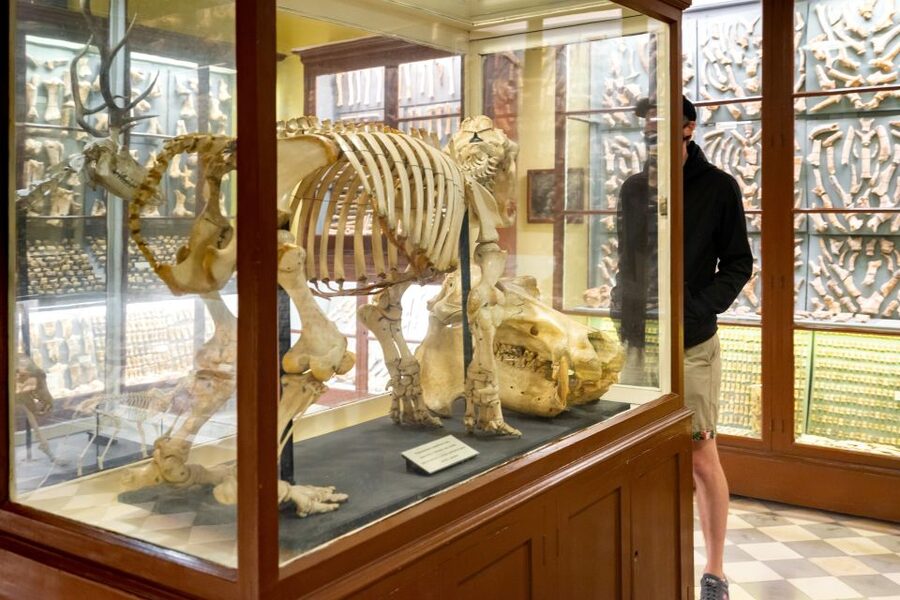 Prehistoric Temples of Malta Tour - Transport, pickups, and the real half-day timing