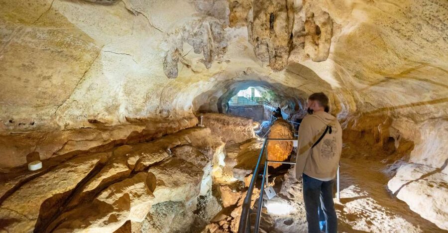Prehistoric Temples of Malta Tour - Ghar Dalam Cave and Museum: Malta before the temples