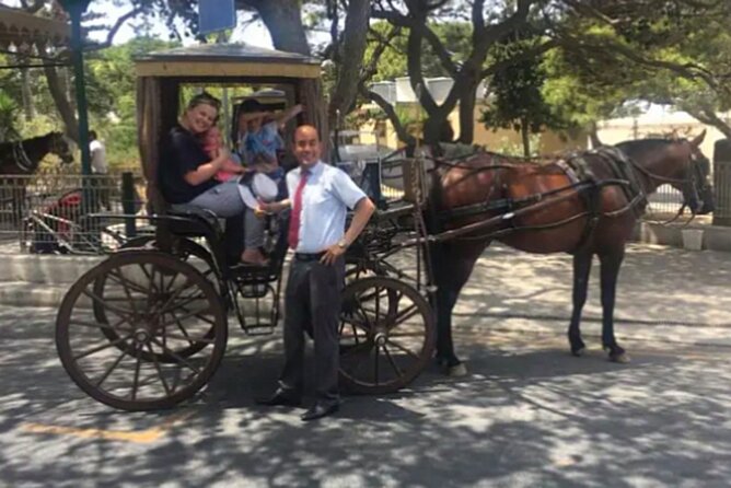 Private Chauffeur Island Tour of Malta and Gozo - A private way to see a lot of Malta