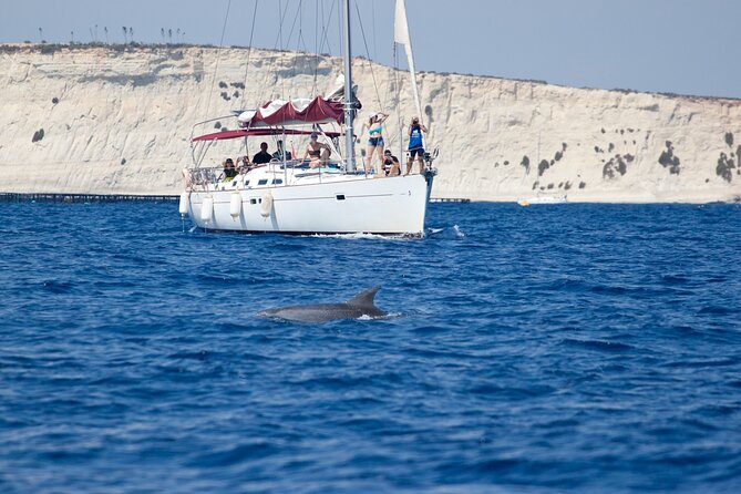 Private Marine Life Spotting - Dolphin watching EcoMarine Malta - A full day at sea, not a quick dolphin cruise