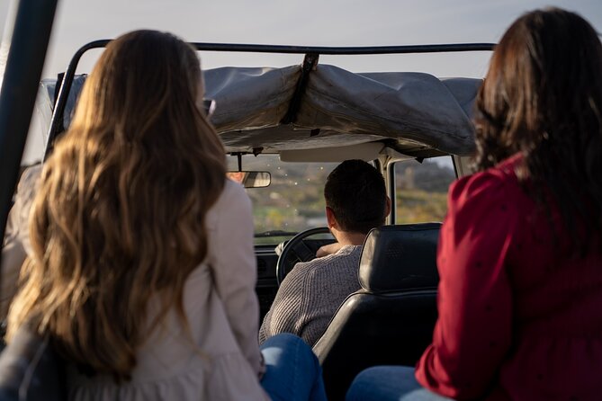 Private UTV Tour in Gozo (Full Day) - Why this private Gozo day works well