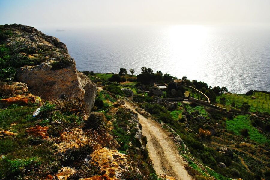 Scenic Tour by Vintage Bus to Buskett Garden & Dingli Cliffs - Why this five-hour Malta tour works well