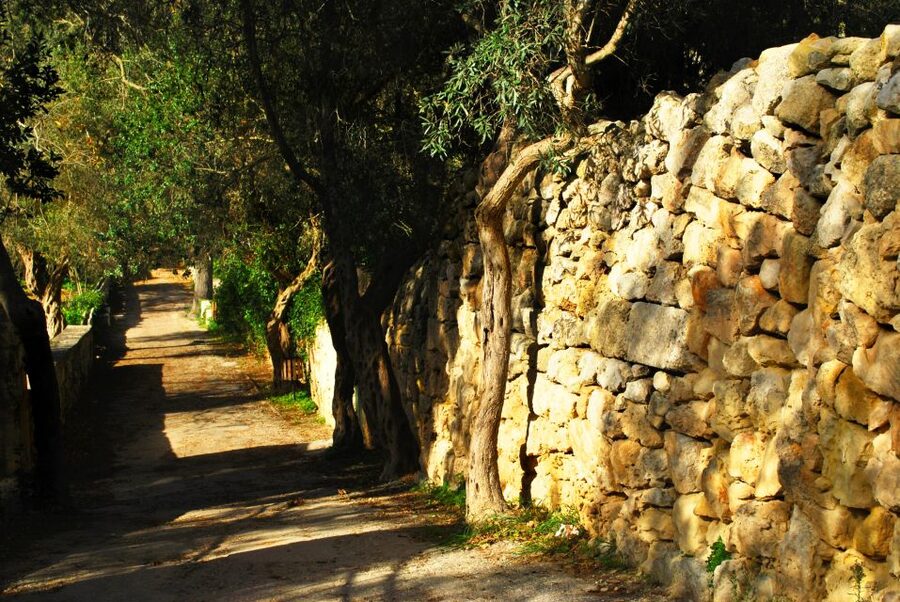 Scenic Tour by Vintage Bus to Buskett Garden & Dingli Cliffs - Palazzo Falson and Mdina’s layered past