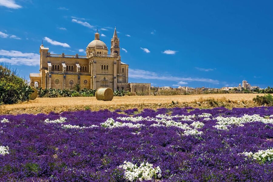 Sliema or St. Paul's Bay: Best of Gozo and Comino Day Trip - Comino and the Blue Lagoon