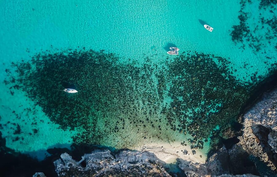 Sliema/St. Paul's: Gozo, Comino & Blue Lagoon Ferry Cruise - The Blue Lagoon and the new access rule