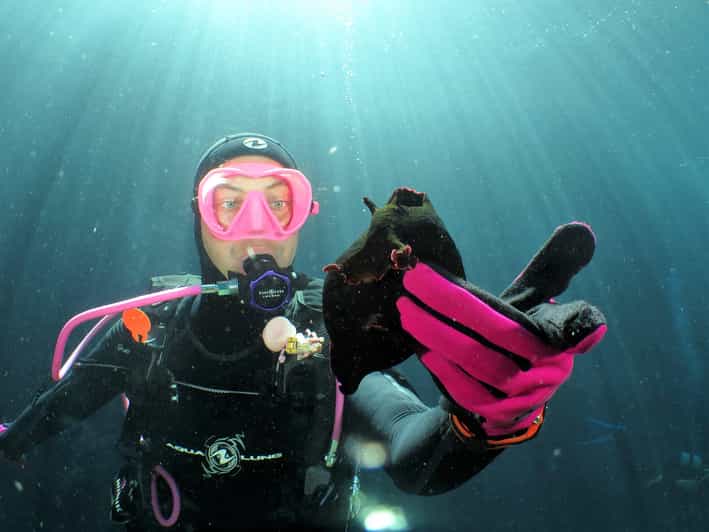 SSI Try Scuba Diving in the sea - Key Points Before You Book