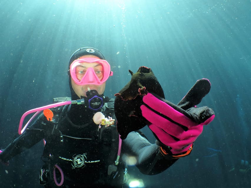 SSI Try Scuba Diving in the sea - Practical Advice for a Smooth Afternoon