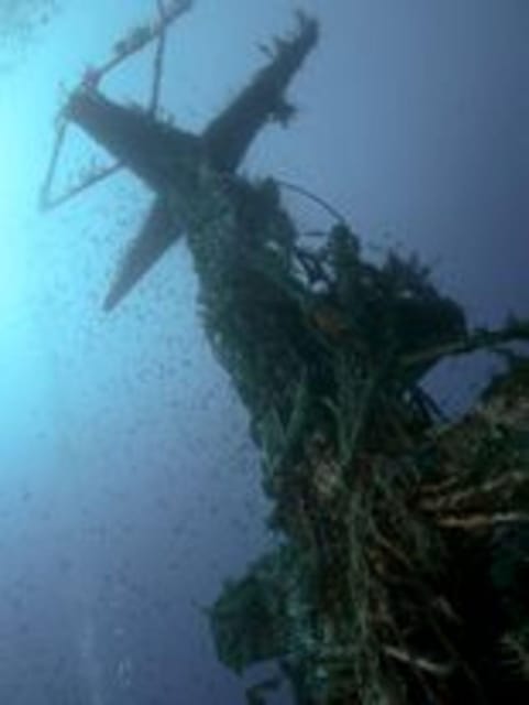 St Julians: Discover Scuba Diving Experience - Key points at a glance