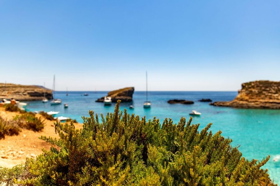 St Paul's Bay: Comino, Blue Lagoon, Gozo, & Caves Boat Tour - What the $34 price really covers