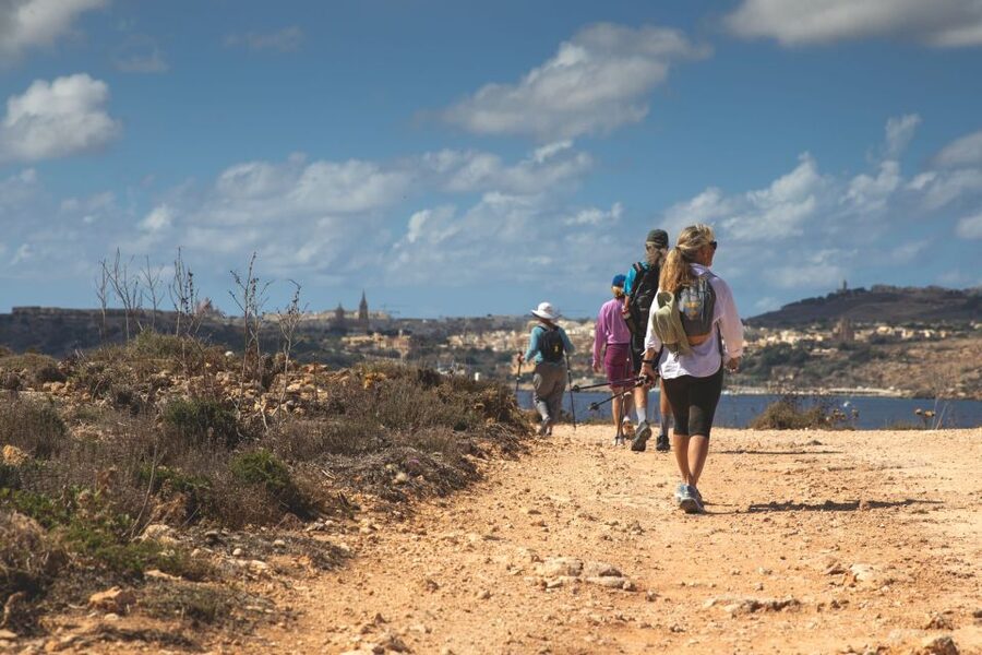 St. Paul's Bay: Gozo, Comino & St. Paul's Bus & Boat Tour - Practical advice for a smoother day