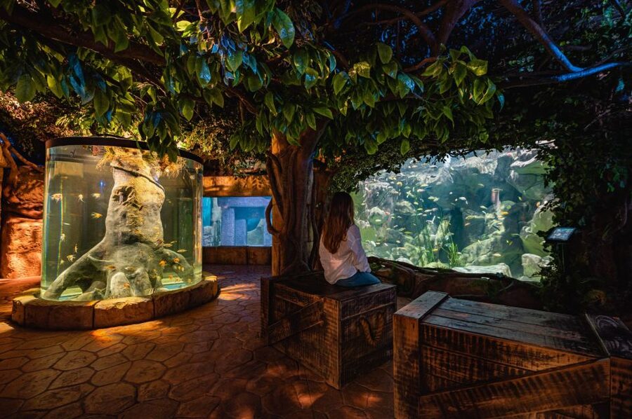 St Paul's Bay: Malta National Aquarium Entry Ticket - Key Points Before You Go