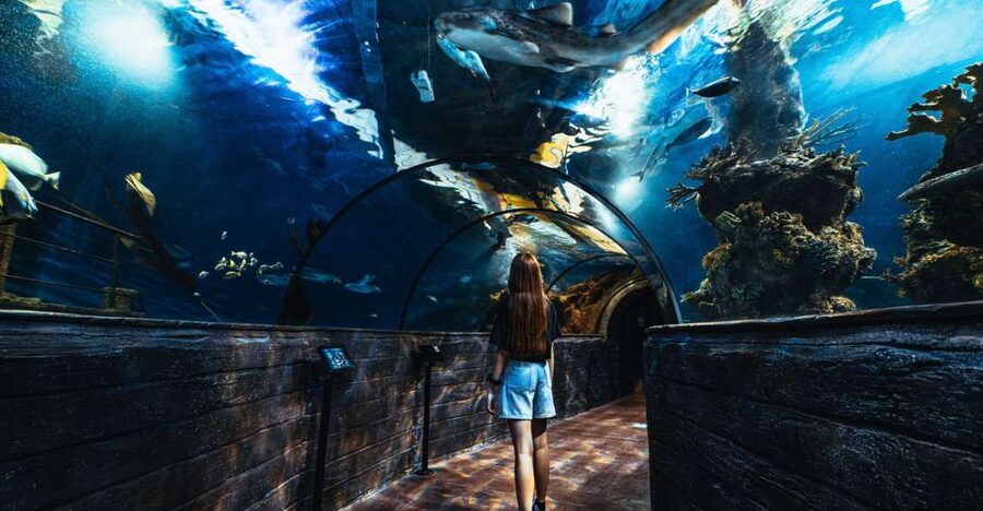 St Paul's Bay: Malta National Aquarium Entry Ticket - Entering Malta’s Starfish-Shaped Aquarium