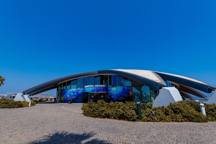 St Paul's Bay: Malta National Aquarium Entry Ticket - Fish, Jellyfish, Reptiles, and Smaller Creatures