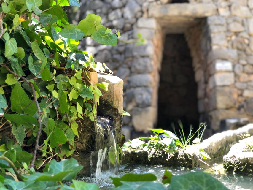 The Limestone Heritage Park and Gardens (Entry Ticket) - Why Malta’s limestone matters