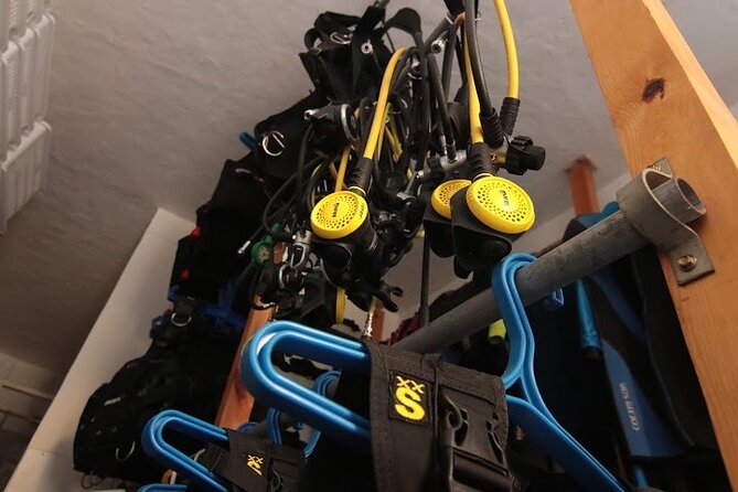 Two Morning Dives in Gozo for Certified Diver - Why two shore sessions work well in Gozo