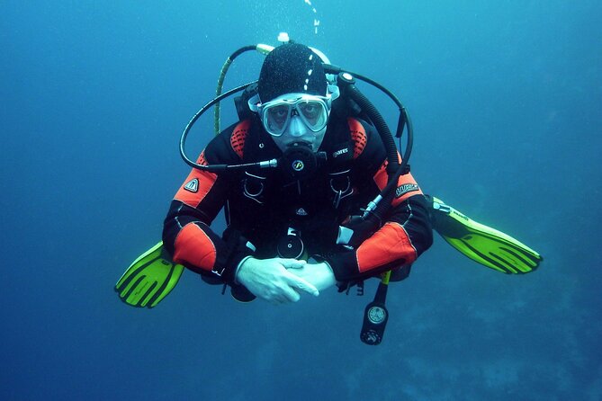 Two Morning Dives in Gozo for Certified Diver - The second session near the first site